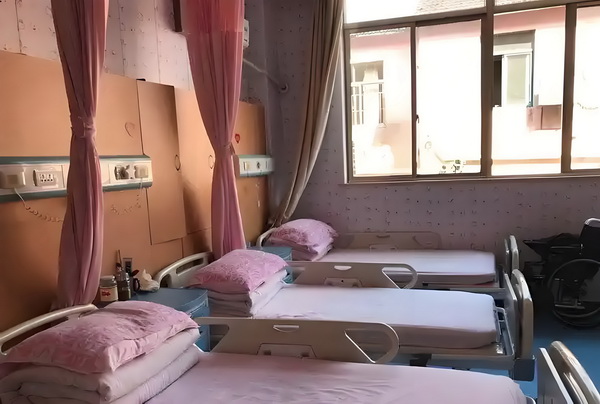 借尸还魂做王妃